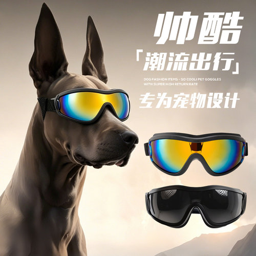 告别强光风沙！狗狗专用护目镜