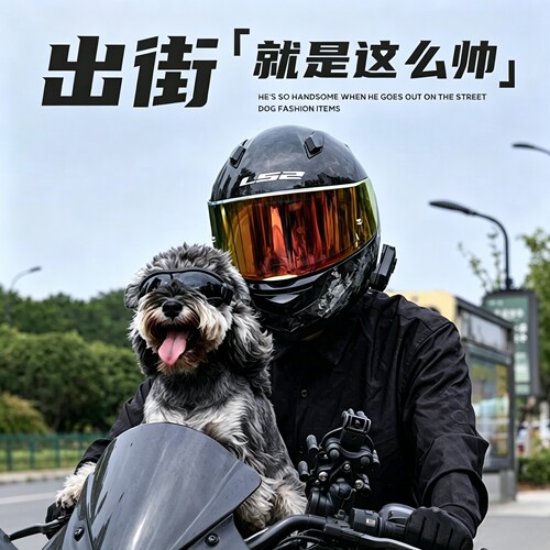 宠物猫狗护目镜外出骑行炫酷眼镜可调节狗狗太阳镜宠物户外墨镜