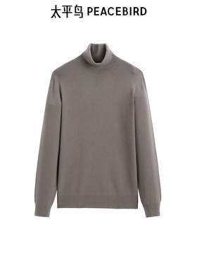 【商场同款】太平鸟男装 2024年冬季新款修身高领毛衣B1EGE4B10