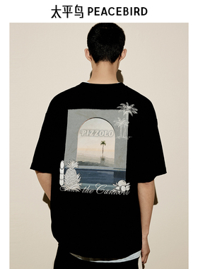 太平鸟男装T恤重磅宽松刺绣印花 B2CNE2607