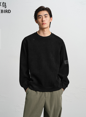 【商场同款】太平鸟男装 2025年冬季新款黑色圆领卫衣B2CRF4515