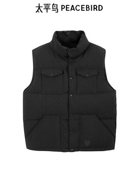 【商场同款】太平鸟男装 2024年冬季潮流羽绒马甲男B1AGE4290