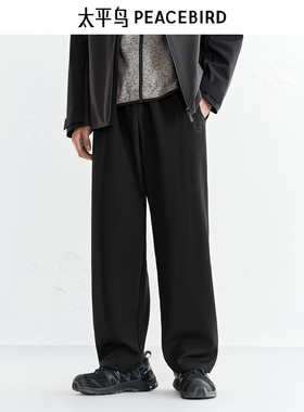 【商场同款】太平鸟男装 2025年冬季新款黑色直筒休闲裤B2GMF4142