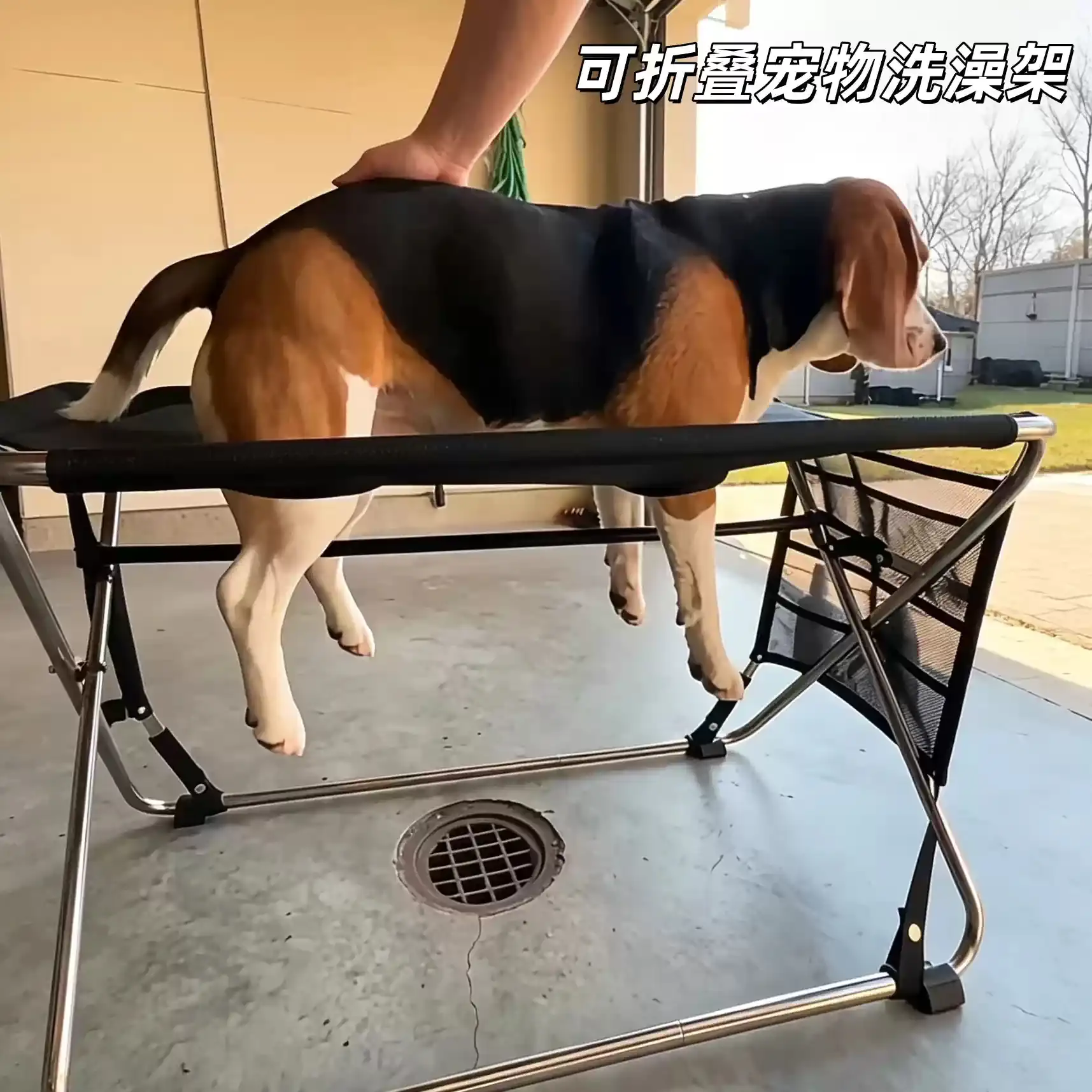 可折叠宠物洗澡支架神器固定防抓防咬小型犬吊床狗狗美容剪指甲猫