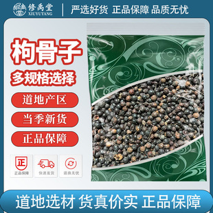 枸骨子中药材新货功劳籽狗骨子猫儿刺籽枸骨籽