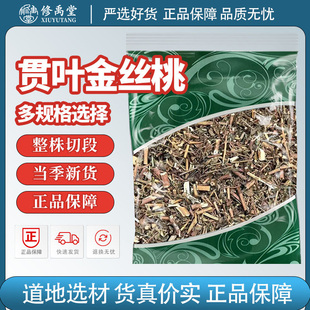 贯叶金丝桃中药材别名小过路黄千层楼小对月草贯叶连翘