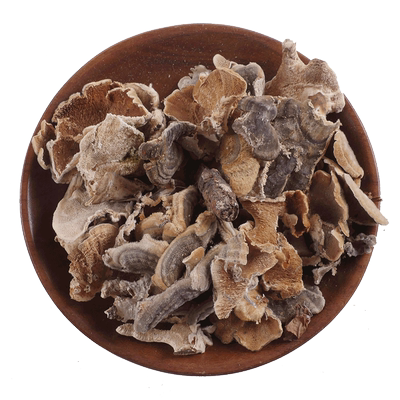 云芝50g-1000克中药材店铺