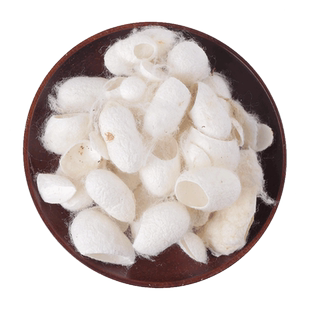 蚕茧中药材蚕茧壳蚕茧子蚕茧抽丝蚕茧泡茶蚕茧粉