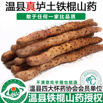 河南焦作温县垆土铁棍山药正宗铁杆怀山药新鲜淮山药5斤现挖现发