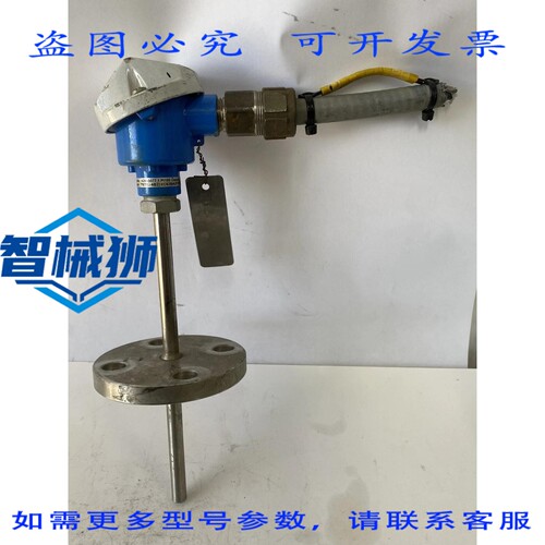 现货供应 ENDRESS HAUSER TST13-AB21XCS2BA2P 温度变送器探头 EH