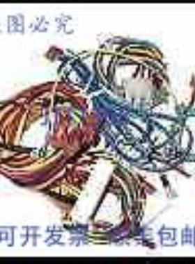 供应Raypak 006738F 线束 IID 185A-405A