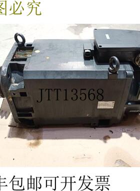 SIMOTICS M结构型异步电机1PH8163-1DF13-0CA1 30kw 37kw TOP