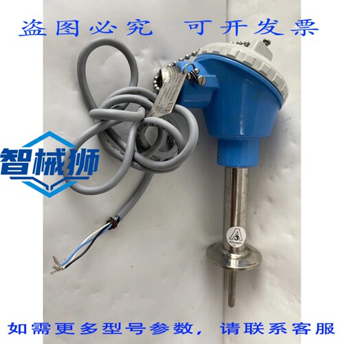 现货供应 ENDRESS HAUSER TH17-B1CCB31AK1 温度传感器 1PT100CI.