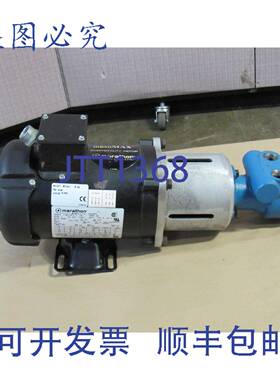 供应马拉松电动变频电机 V 56H17F2017A 75  230460V 泵 2L