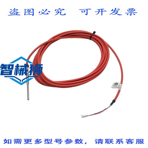 现货供应 SKS W-63-100MM-PT100A-5M NSNP