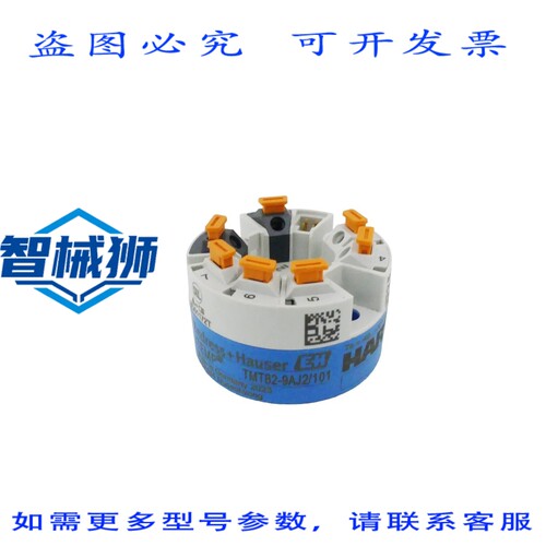 原装供应 ENDRESS+HAUSER ITEMP TMT82-9AJ2/101 HART 温度变送器