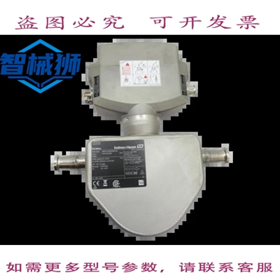 现货供应 ENDRESS+HAUSER 8BE08-AFWWABCB41A4 DOSIMASS DN08 3/8