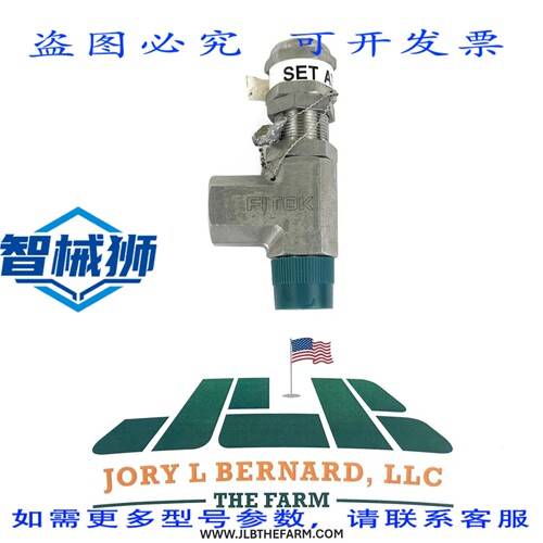 原装供应 FITOK RVSS-NS8-FNS8-6-YL SET 5500 PSI RV系列泄压阀