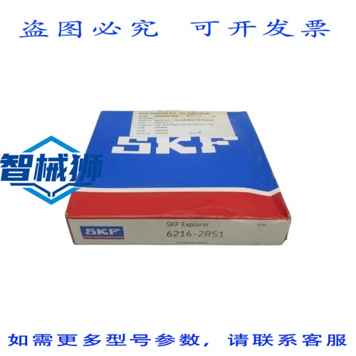 现货供应 6216-2RS1 NSFS