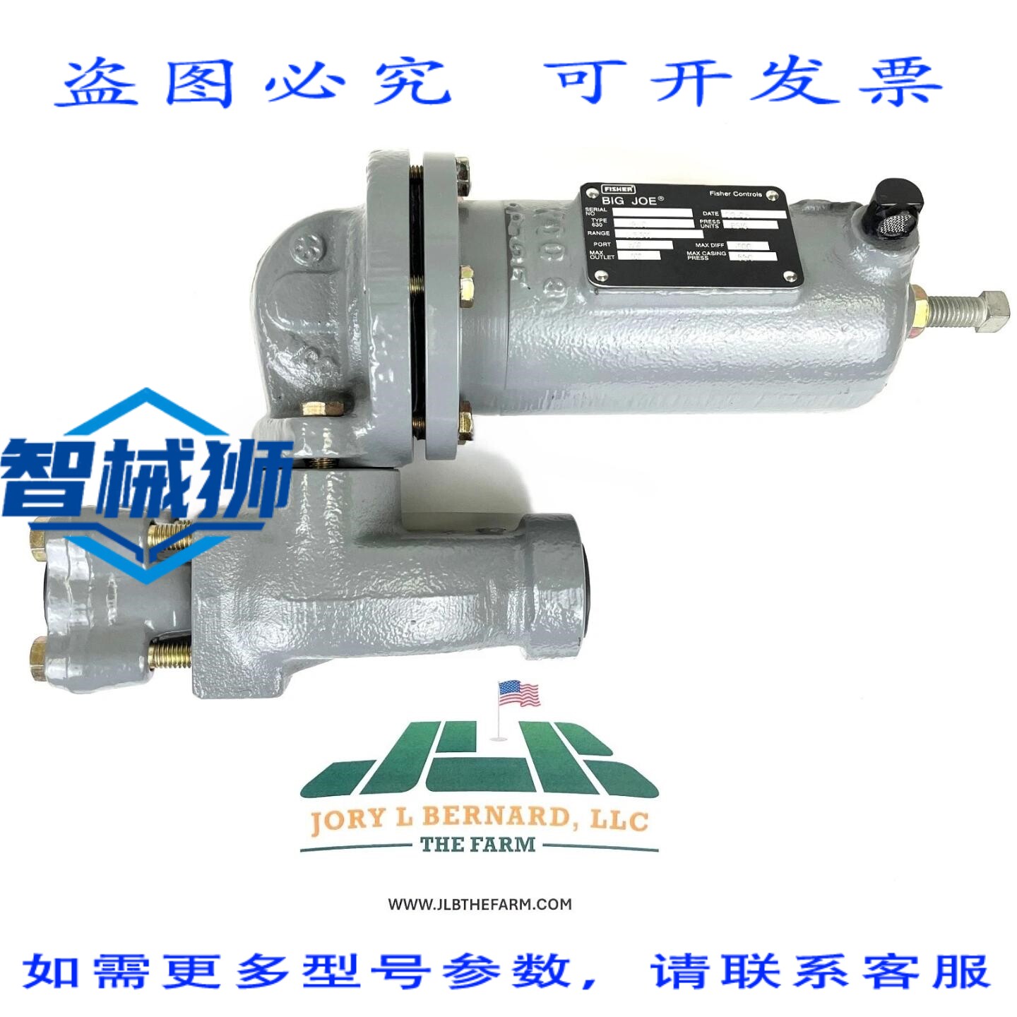 原装供应 FISHER 630-8110 系列BIG JOE 调压阀 范围 275-500 孔