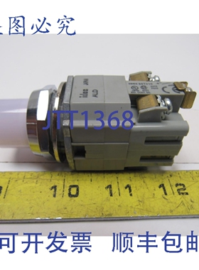 原装供应Idec BST010 600V 瞬时触点按钮指示灯 白色 LED 30mm