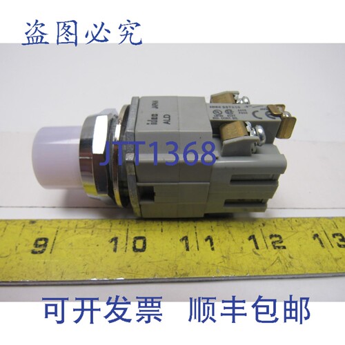 原装供应Idec BST010 600V 瞬时触点按钮指示灯 白色 LED 30mm