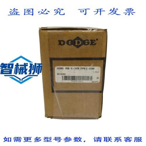 现货供应 道奇 023003 P2B-E-107R NSMP