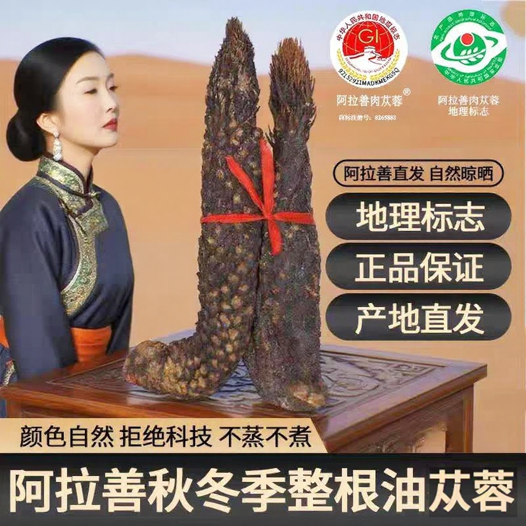 阿拉善油肉苁蓉中药材泡酒料整根内蒙古非500g特大野生锁阳淫羊藿