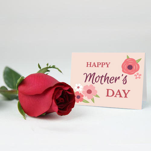 Thankyou卡质量怎么样 Thankyou卡口碑怎么样 小麦优选 Thankyou卡质量怎么样 Thankyou卡口碑怎么样 小麦优选