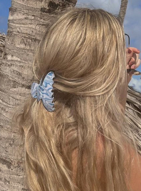 Emi-Jay蓝色波纹发夹女后脑勺高级感鲨鱼夹大号发量多ins风爪夹