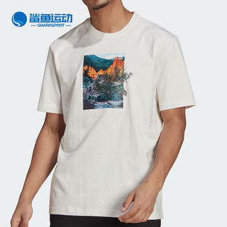 Adidas/阿迪达斯正品三叶草夏季新款男女运动休闲短袖T恤H09065