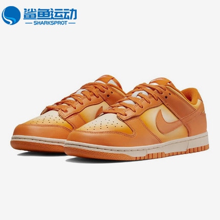 Nike/耐克正品秋季新款女子休闲轻便运动舒适低帮板鞋 DX2953-800