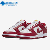 耐克正品 运动休闲透气低帮板鞋 秋季 Nike 新款 男女同款 DD1391 602