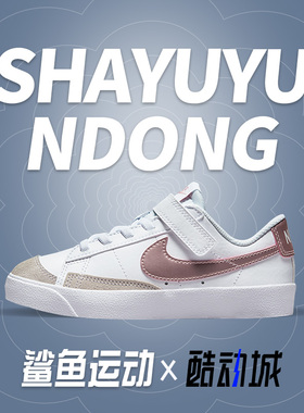 Nike/耐克正品秋季新款女子大童运动时尚板鞋DA4075-105