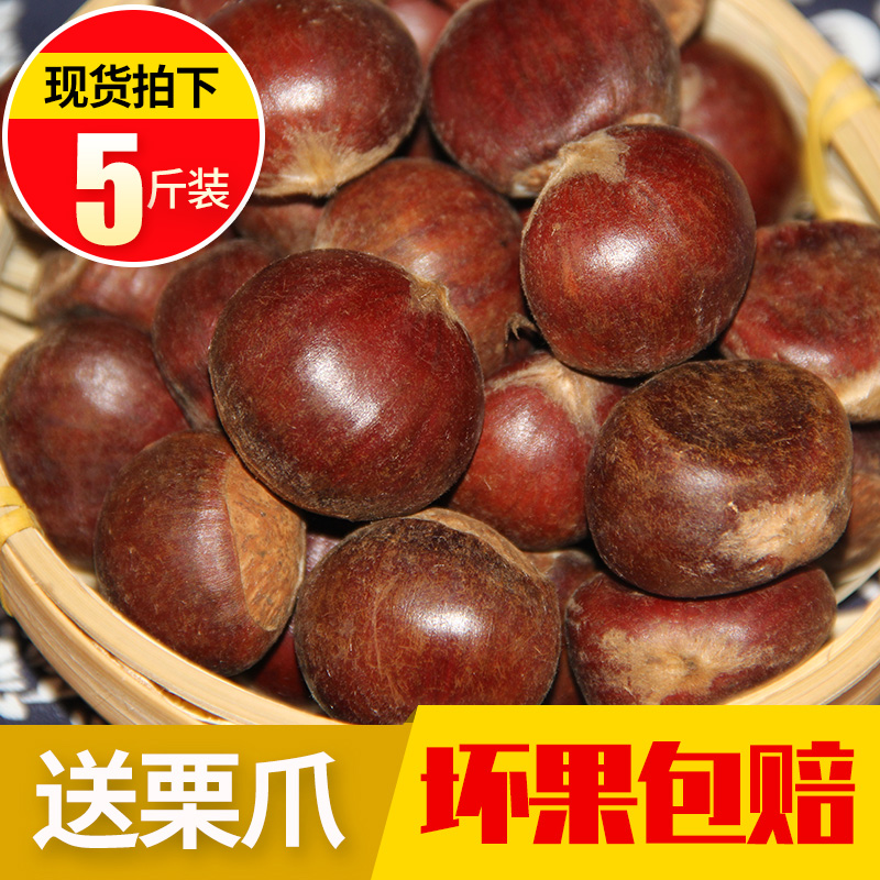 生板栗25年泰山板栗生新鲜农家现摘生栗子粉糯老树黄心油栗包邮