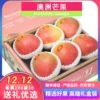 Товары от 伶俐果匠