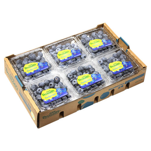 礼盒装Driscoll's当季限量大蓝莓