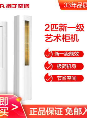 扬子2匹新一级艺术柜机空调变频