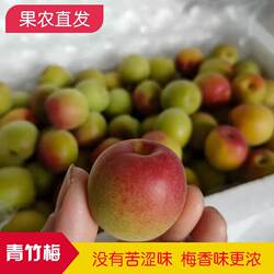 遇梅缘 诏安青竹梅 新鲜青梅果 梅子 酸梅泡青梅酒