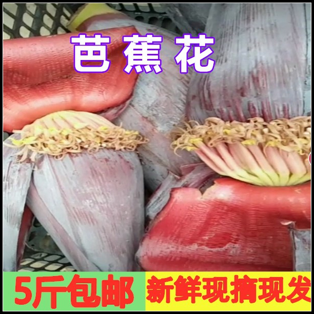 香蕉蕾香蕉花新鮮蕉蕾芭蕉花新鮮食用野生芭蕉葉芭蕉心香蕉蕾5斤在類目 水產肉類/新鮮蔬果/熟食, 新鮮水果, 香蕉中 - 來自Buy2taobao.com提供專業的淘寶代購服務