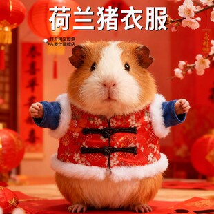 荷兰猪新年衣服喜庆过年过冬豚鼠红色春节毛衣加厚专用宠物用品
