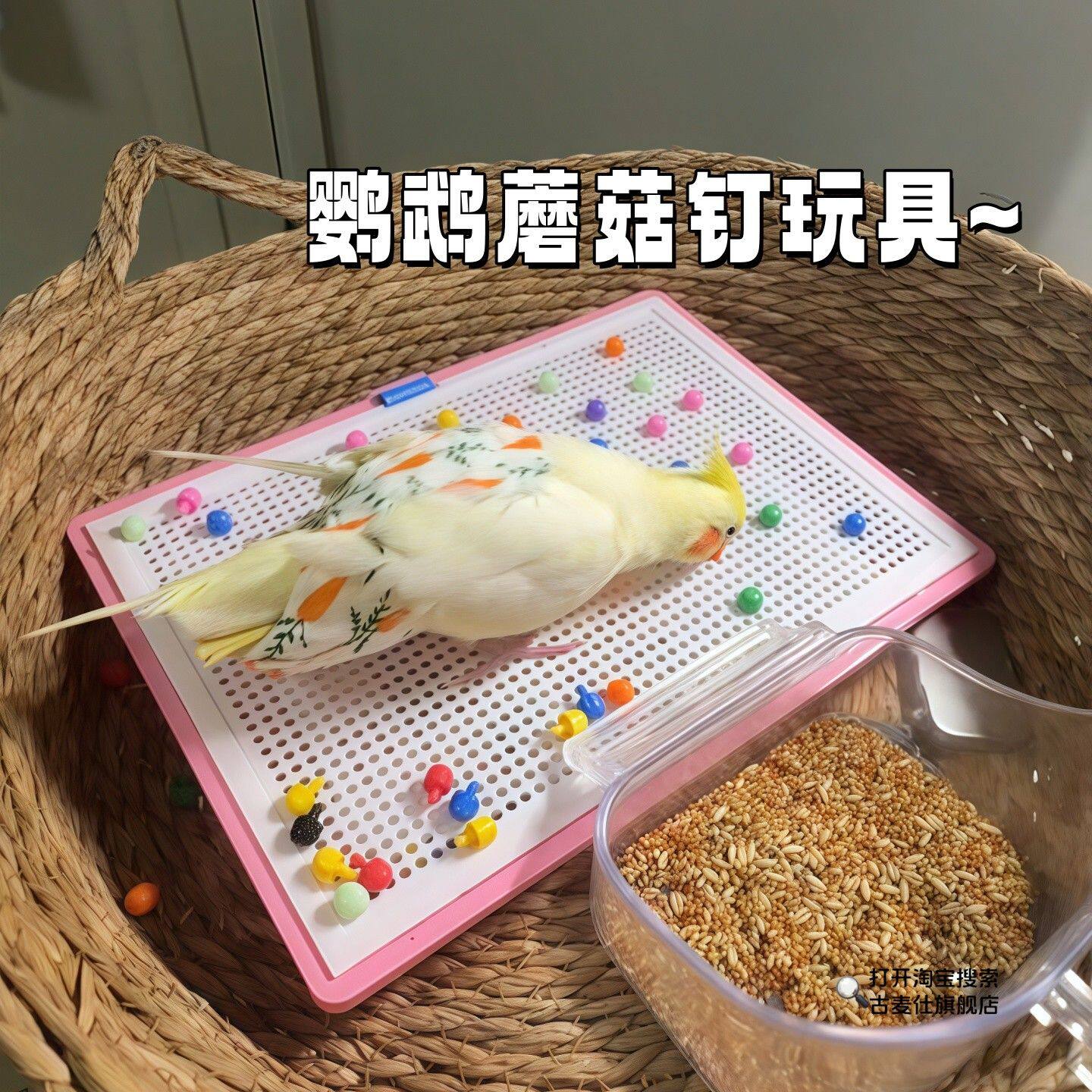 鹦鹉蘑菇钉玩具自嗨解闷防抑郁鸟类益智玩具趣味小鸡啃咬拔钉子