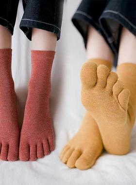 2025五指袜子女纯色橙色木屐袜袜四季现货袋装分趾棉中筒五趾袜