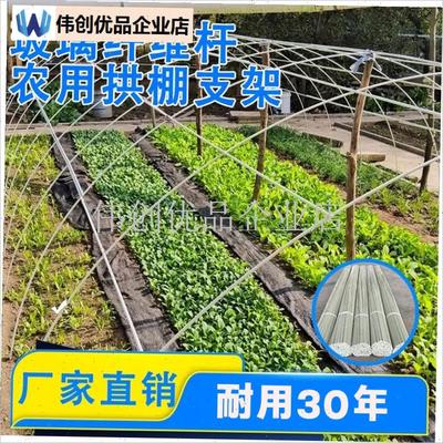 农用拱棚支架g玻璃纤维杆搭棚大棚拱杆玻璃钢种菜家用蔬菜豆角架,