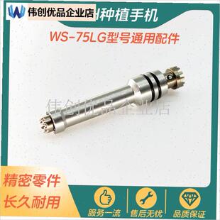 牙科WH种植手机机芯后盖传动轴减A速箱扳手轴承WS75LG口腔维修配,
