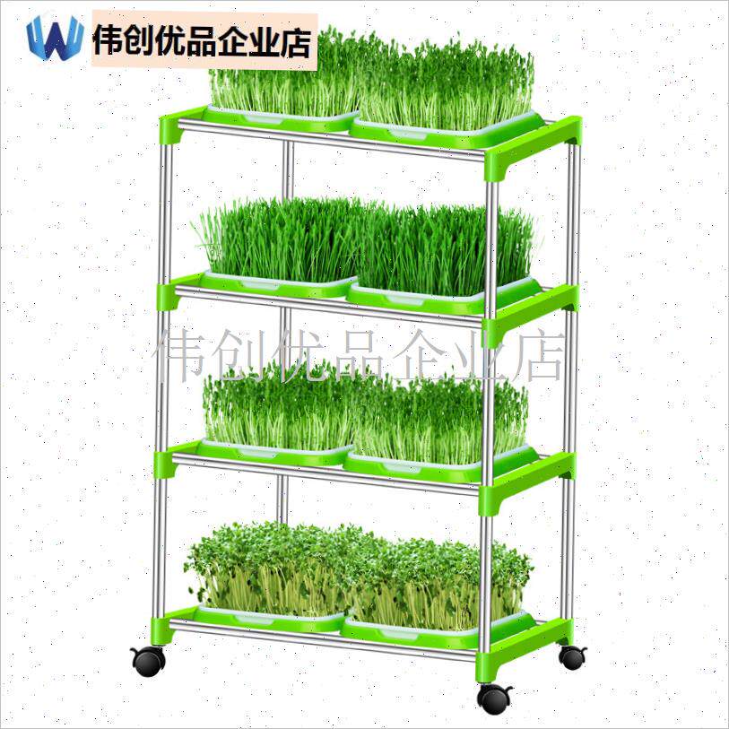 芽苗菜育苗盘豆芽绿豆芽发芽实验神器盆发豌豆苗种X植专用水培蔬,