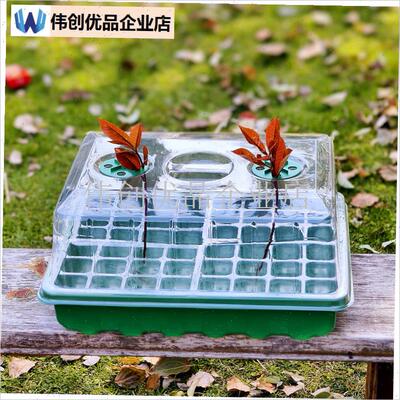 加大加厚48孔24孔育苗盒带盖z子多肉育苗箱保温播种神器育苗盘闷,