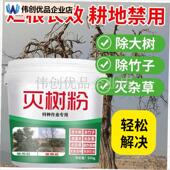 特种作业专用除大树m灭竹子除杂草操作简单无色无味渗透性强烂根