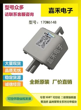 热销170M6018 170M6019 170M6020 170M6021 170M3108现货巴斯曼熔