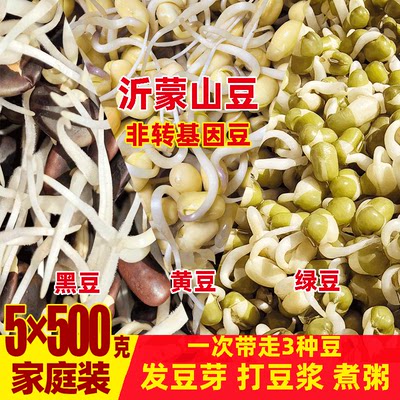 沂蒙山豆子可长豆芽黄豆绿豆黑豆